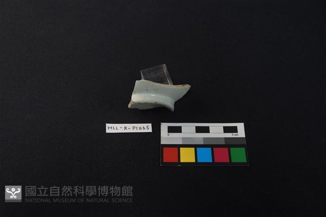 瓷片藏品圖，第2張