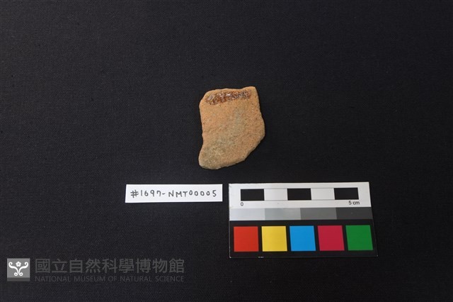 陶片藏品圖，第2張