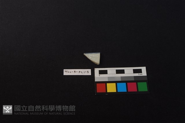 瓷片藏品圖，第2張