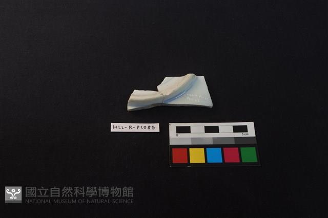 瓷盤藏品圖，第2張