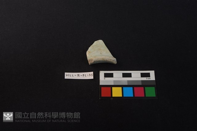 瓷片藏品圖，第2張