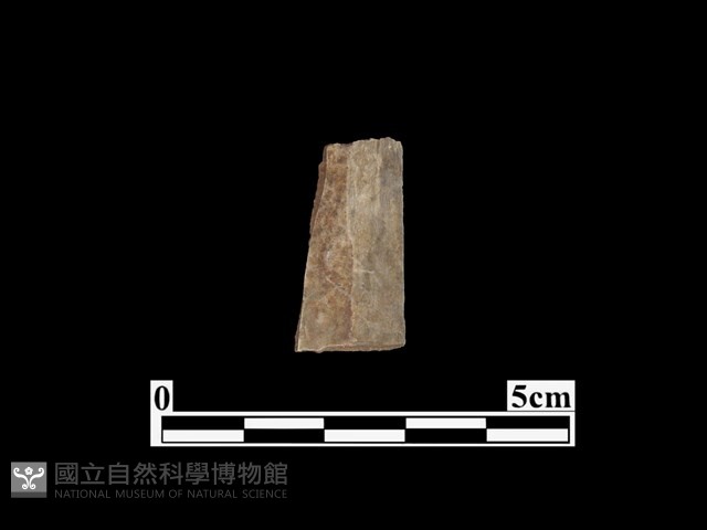 骨器藏品圖，第2張
