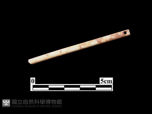 骨器藏品圖，第2張