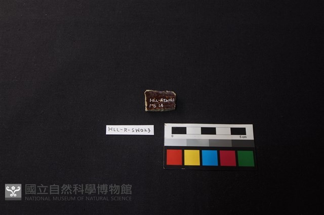 硬陶片藏品圖，第2張