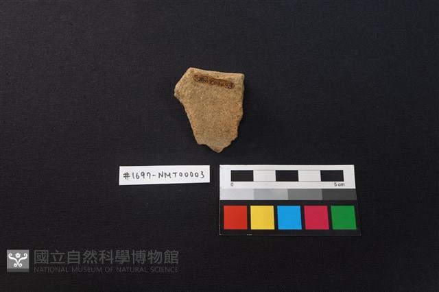 陶片藏品圖，第2張