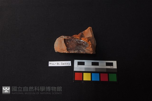 陶缸藏品圖，第2張
