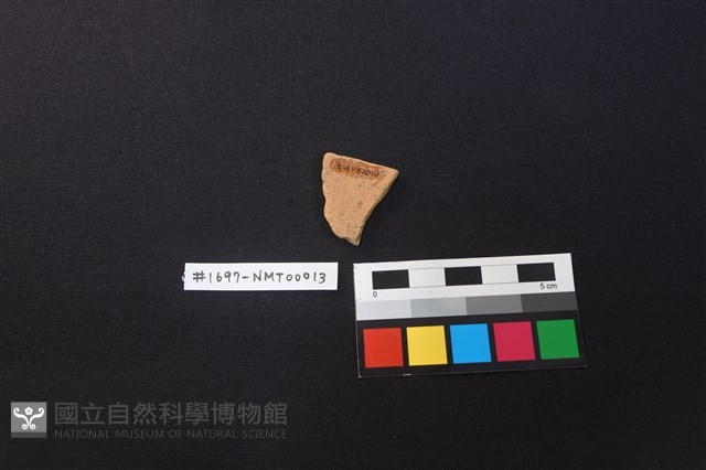 陶片藏品圖，第2張