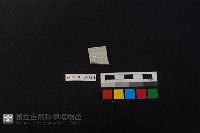 瓷片藏品圖，第2張