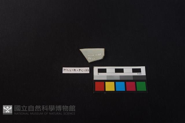 瓷片藏品圖，第2張