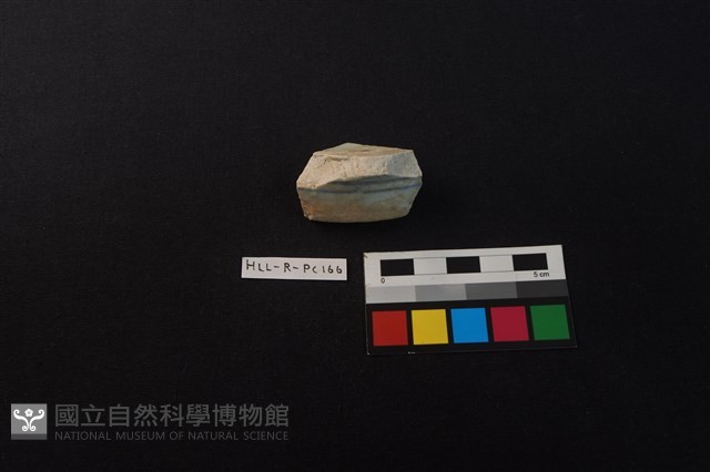 瓷片藏品圖，第2張