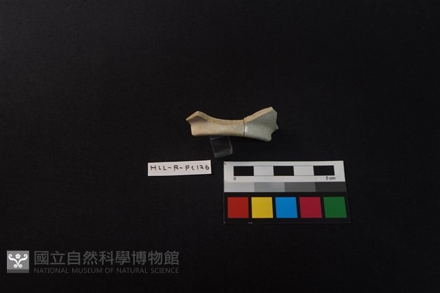 瓷片藏品圖，第2張