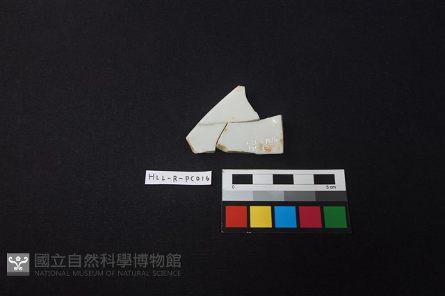 瓷碗藏品圖，第2張