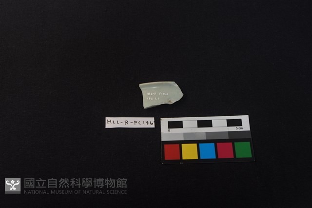 瓷片藏品圖，第2張