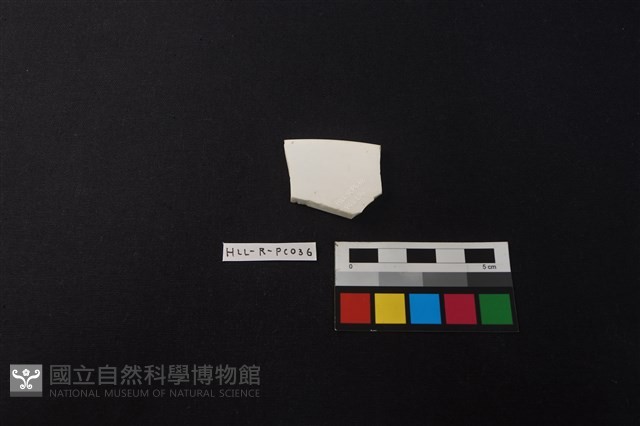 瓷片藏品圖，第2張