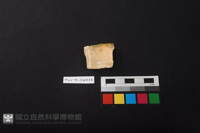 硬陶片藏品圖，第2張