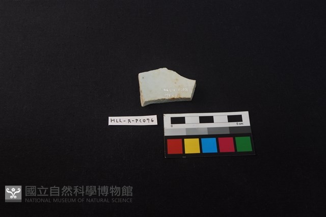 瓷片藏品圖，第2張
