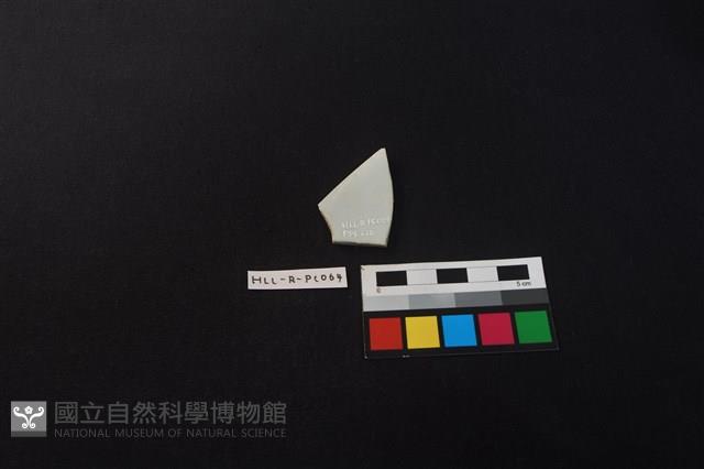 瓷片藏品圖，第2張