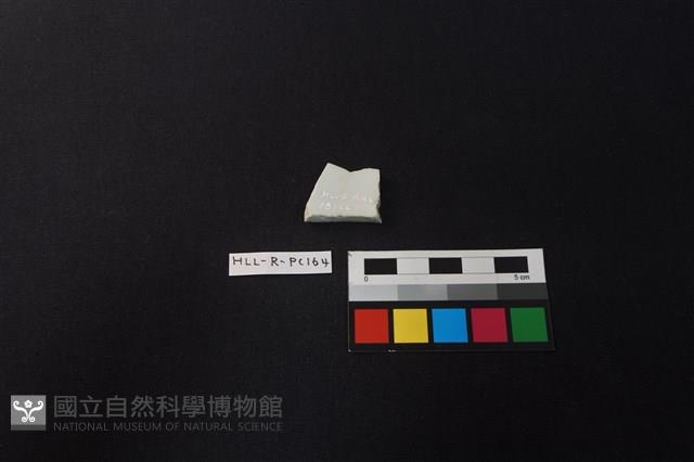 瓷片藏品圖，第2張