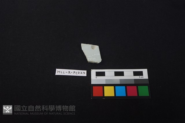 瓷片藏品圖，第2張