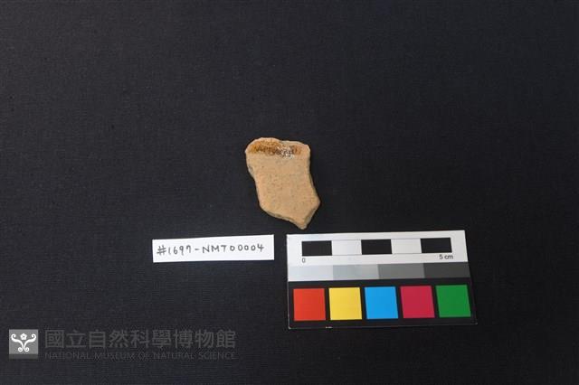 陶片藏品圖，第2張