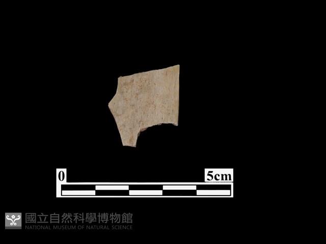 骨器藏品圖，第2張