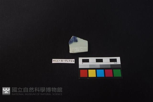 瓷片藏品圖，第2張