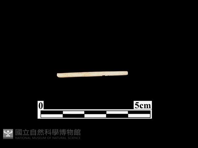 骨器藏品圖，第2張