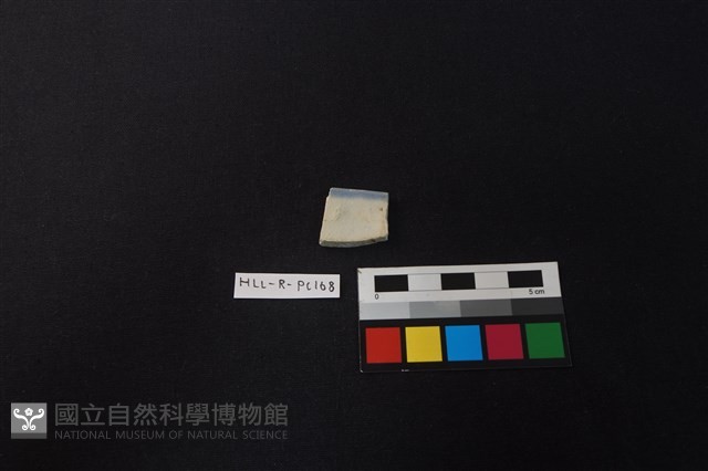 瓷片藏品圖，第2張