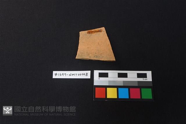 陶片藏品圖，第2張