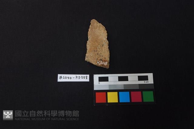 陶片藏品圖，第2張