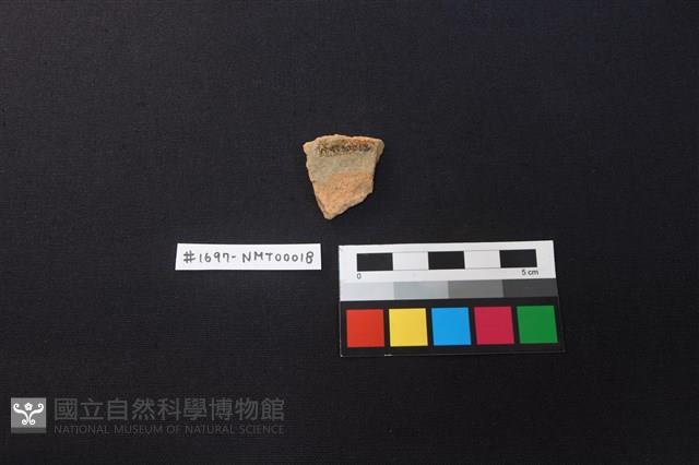 陶片藏品圖，第2張