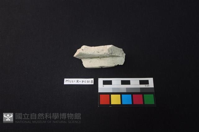 瓷片藏品圖，第2張