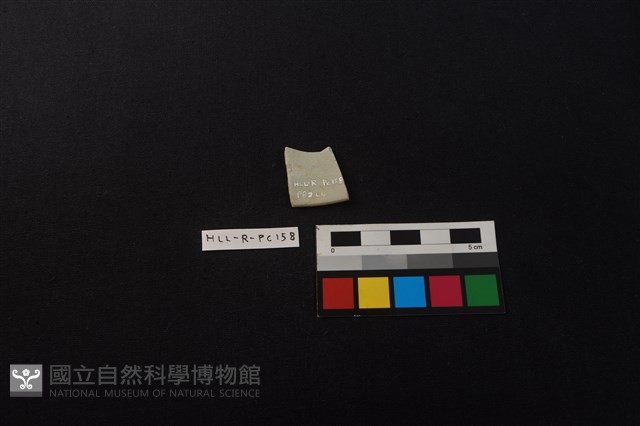 瓷片藏品圖，第2張