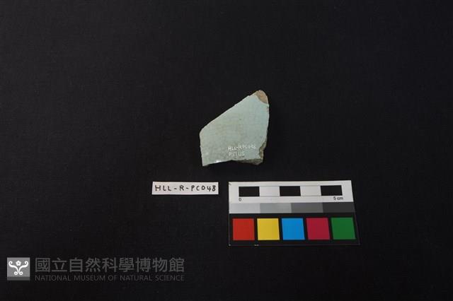 瓷片藏品圖，第2張