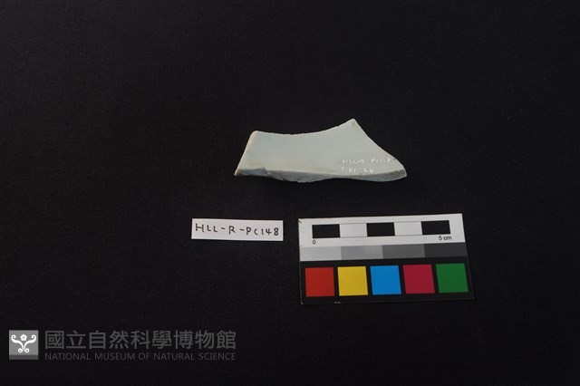 瓷片藏品圖，第2張