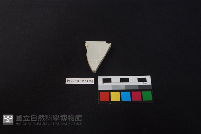 瓷片藏品圖，第2張