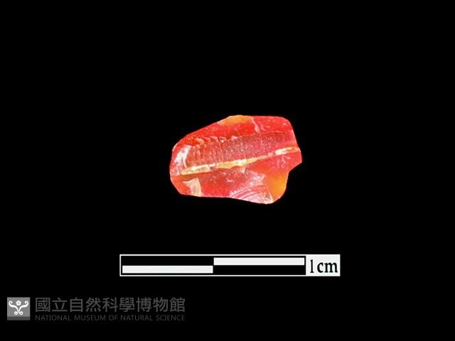 玉髓珠藏品圖，第2張