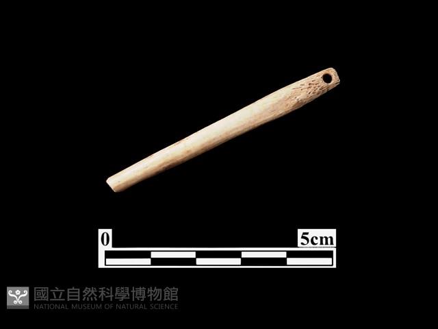 骨針藏品圖，第2張