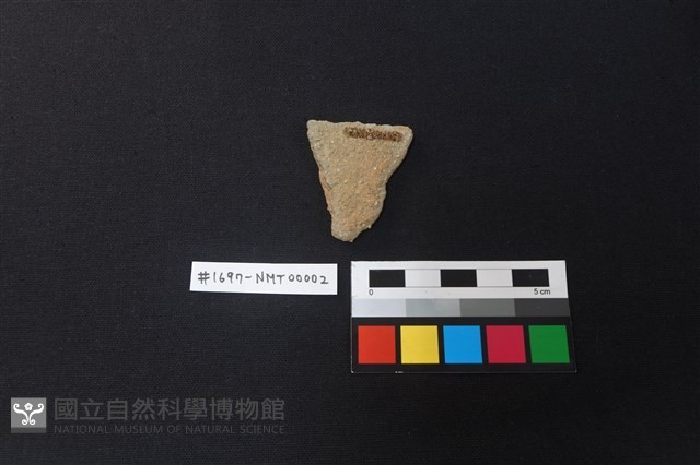 陶片藏品圖，第2張