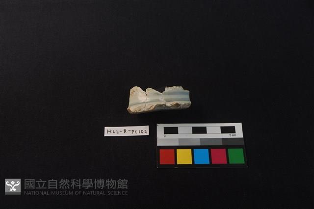 瓷碗藏品圖，第2張