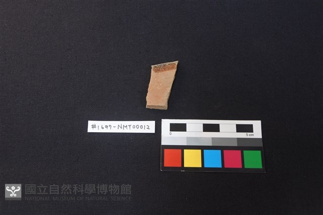 陶片藏品圖，第2張