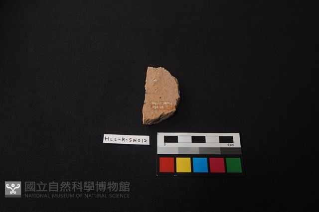 硬陶片藏品圖，第2張