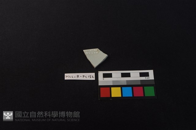 瓷片藏品圖，第2張
