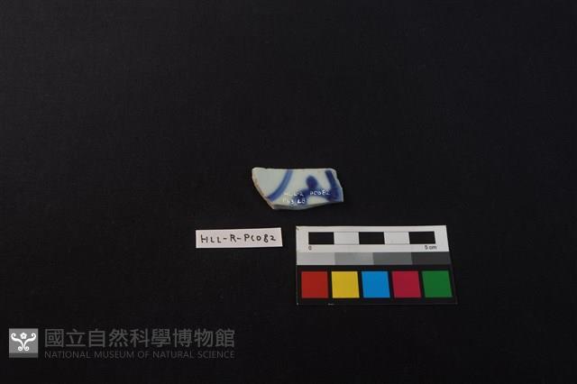 瓷片藏品圖，第2張