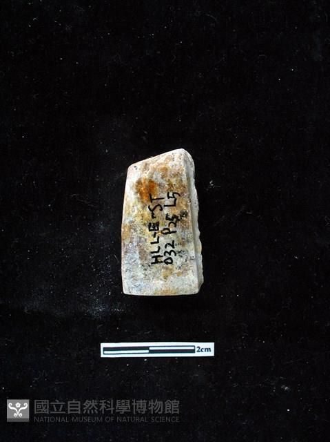 錛鑿形器藏品圖，第2張