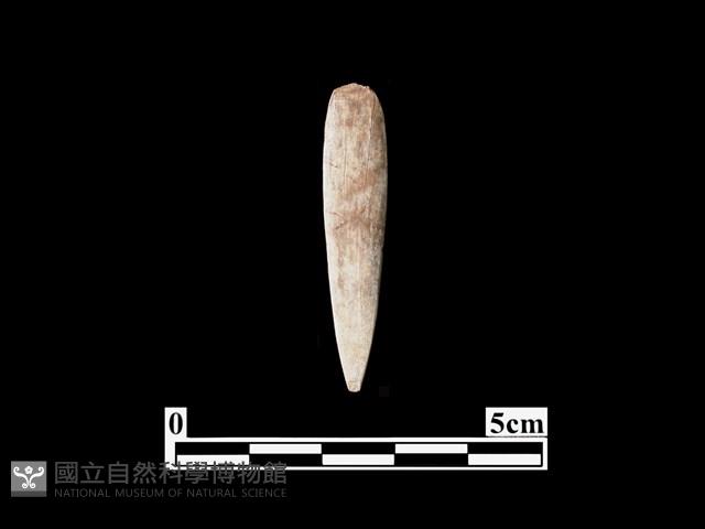 骨鏃藏品圖，第2張