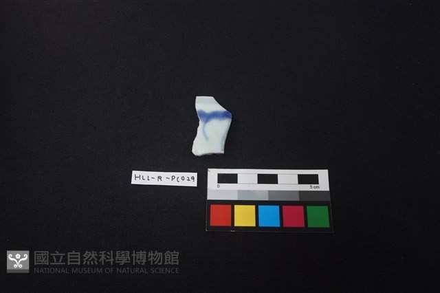 瓷片藏品圖，第1張
