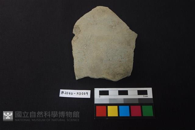 陶片藏品圖，第1張