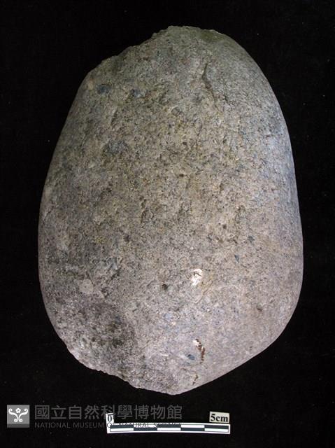 Accession Number:HLL-E-ST019 Collection Image, Figure 1, Total 2 Figures