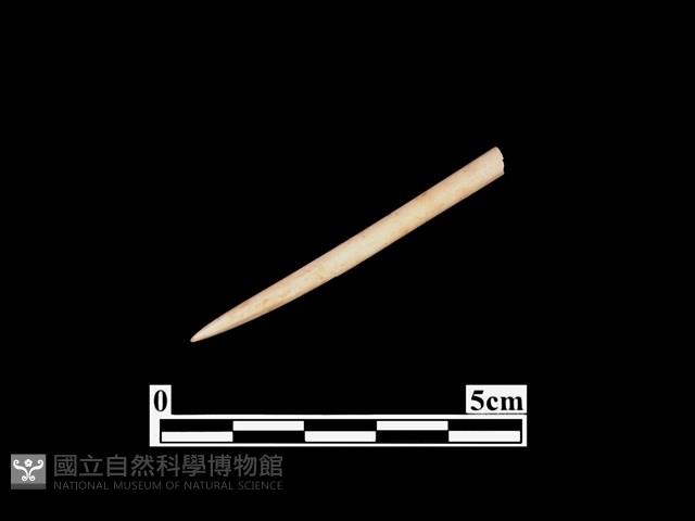 骨針藏品圖，第1張